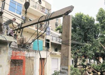 High-velocity storm uproots trees, disrupts power supply in Chandigarh