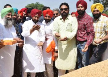 PUNJAB CM KICK STARTS PADDY OPERATIONS ACROSS STATE FROM MORINDA GRAIN MARKET