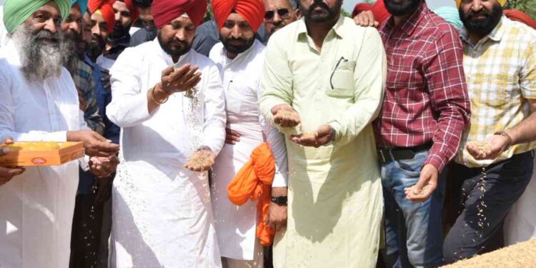 PUNJAB CM KICK STARTS PADDY OPERATIONS ACROSS STATE FROM MORINDA GRAIN MARKET