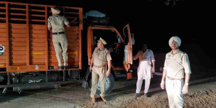 Punjab Police arrests 8 persons for smuggling paddy from other states; 7260 quintals paddy, 7 vehicles seized