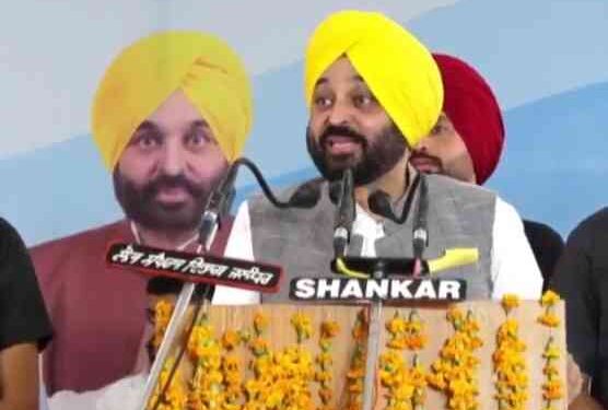 Punjab Chief Minister Bhagwant Mann...