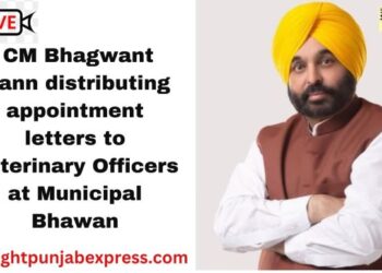 Punjab CM Bhagwant Mann distributing appointment letters to Veterinary Officers at Municipal Bhawan