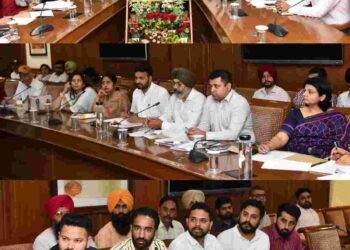 Cabinet Ministers Advocate Harpal Singh Cheema, Mr. Aman Arora and Mr. Kuldeep Singh Dhaliwal on Wednesday held meetings