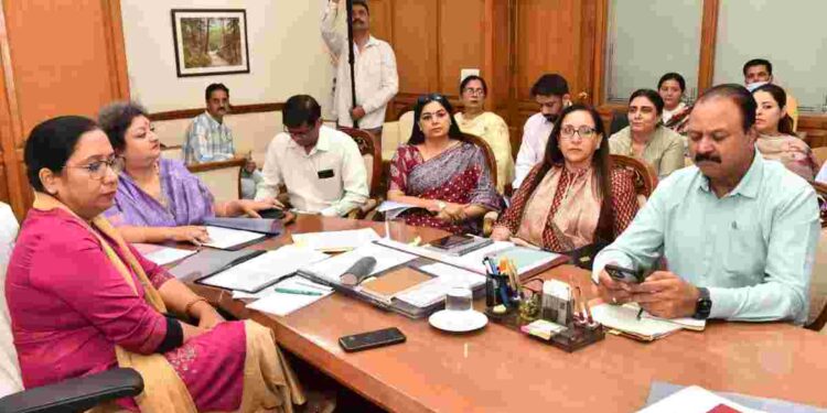 Social Security, Women and Child Development Minister presides over ECCE council meeting