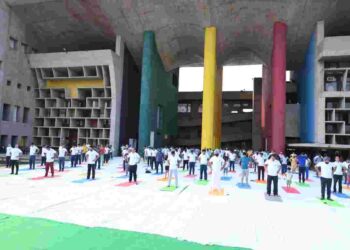 Punjab & Haryana High Court Celebrates International Yoga Day