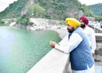 Punjab Chief Minister Bhagwant Mann on Sunday said that the water level at the dams of the state is below the danger mark