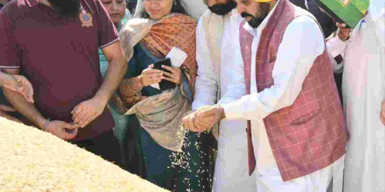 CM FORMALLY KICKSTARTS PADDY PROCUREMENT OPERATIONS FROM CHAMKAUR SAHIB