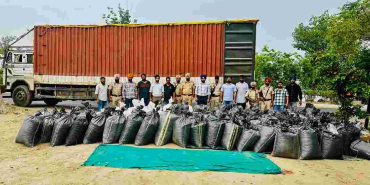 PUNJAB POLICE RECOVERS 41QTLs POPPY HUSK FROM BATHINDA