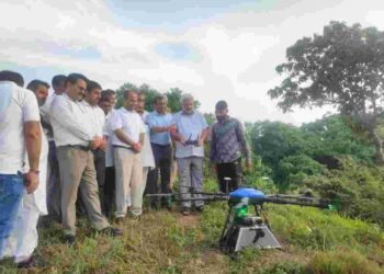 Seeds of multiple varieties sprinkled through drone in 30 Hectares forest area