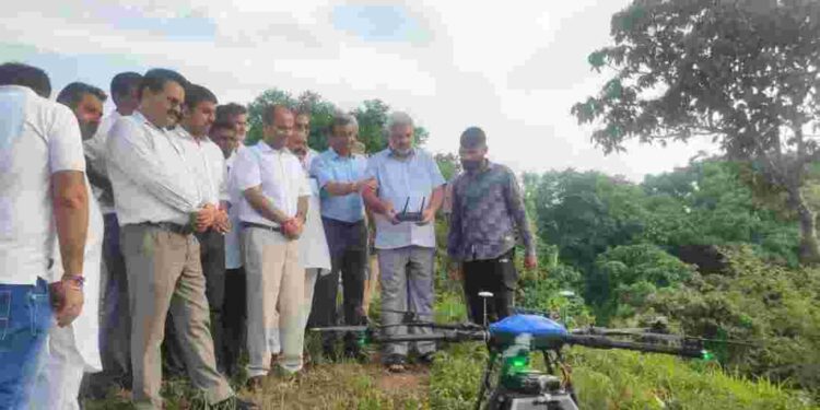 Seeds of multiple varieties sprinkled through drone in 30 Hectares forest area