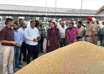 Deputy Commissioner Launches Paddy Procurement in Sanour and Sanouri Grain Markets