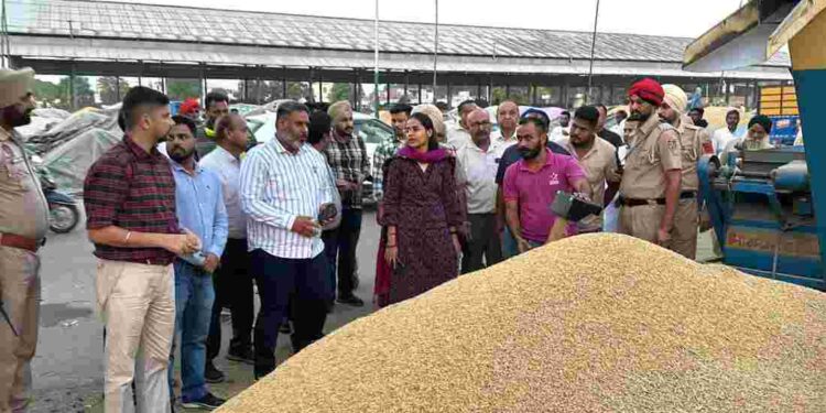 Deputy Commissioner Launches Paddy Procurement in Sanour and Sanouri Grain Markets