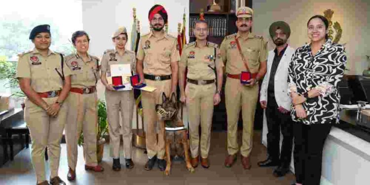 PUNJAB POLICE SHINES AT ALL INDIA POLICE DUTY MEET; BAGS ONE SILVER, TWO BRONZE MEDALS