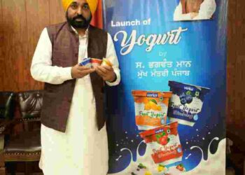 Punjab Chief Minister Bhagwant Singh Mann launching Verka's new products (File Photo)