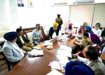 ONLINE PORTAL TO COMBAT SALE & PURCHASE OF UNCERTIFIED PADDY SEEDS IN PUNJAB SOON