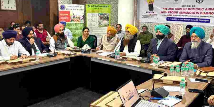 PUNJAB LAUNCHES FREE TETANUS VACCINATION DRIVE FOR EQUINES