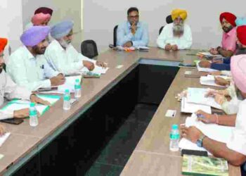 AGRI OFFICERS DIRECTED TO INCREASE WHITE GOLD ACREAGE; MALWA FARMERS TO BE TRAINED ON MODERN COTTON FARMING TECHNIQUES