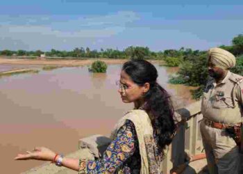 DC Inspects Water Levels in Ghaggar, Tangri, and Mirapur Cho Rivers