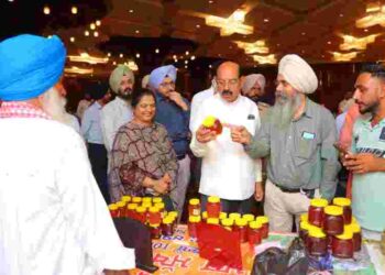 Amritsar Farmers Excel in State-Level Pear Competition Organized by Horticulture Department