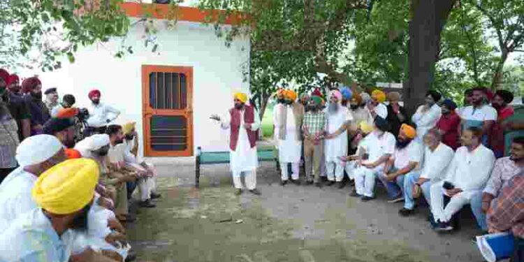 IN A FIRST PEOPLE’S CM INTERACT WITH PEOPLE UNDER SHADES OF TREE