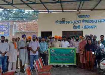 Agriculture Department Launches Awareness Camps on Stubble Management