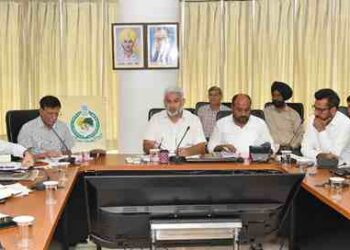 Forest & Wildlife Preservation Department in process of Drafting ‘The Punjab Protection of Trees Act, 2025’