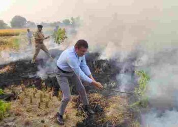 Sangrur Officials Lead by Example: DC and SSP Personally Extinguish Stubble Fires in Fields