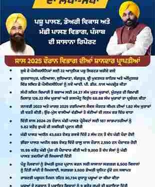 PUNJAB ANIMAL HUSBANDRY DEPT SAILS TO SUCCESS AMID FLOODS IN 2025