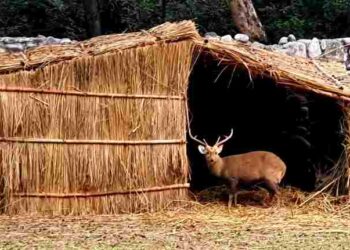 Forest & Wildlife Preservation Department puts in place special arrangements at Chhatbir Zoo for protecting animals from winter