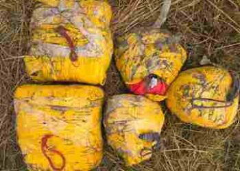 20 kg heroin seized in Punjab; four arrested