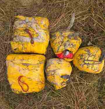 20 kg heroin seized in Punjab; four arrested