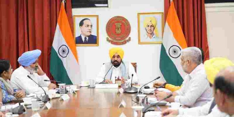 Punjab writes new chapter in employee welfare as Bhagwant Mann Govt ends contractual system; over 65,000 employees to be regularised