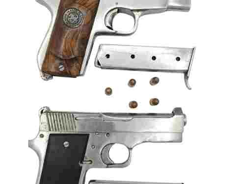 TWO LINKED TO JAILED GANGSTER HELD IN BATHINDA; TWO PISTOLS RECOVERED