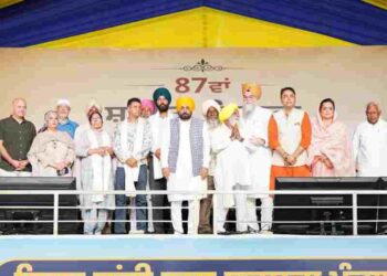 AAP Govt Firmly Committed to Fulfilling Dreams of Freedom Fighters Who Made Supreme Sacrifices for Nation: CM Bhagwant Singh Mann