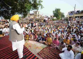 People of Punjab Have Made Up Their Minds to Elect AAP Govt Again in 2027: CM Bhagwant Singh Mann