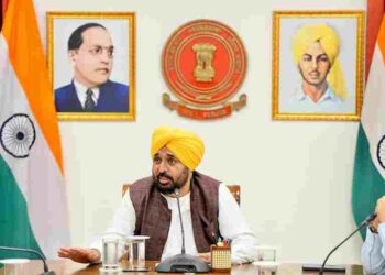 No Shortage of Sugar in Punjab, Govt Keeping Regular Vigil on Stock, Supply: CM Bhagwant Singh Mann