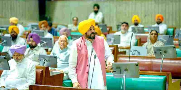 Punjab Govt Stands With Gen Z; Vidhan Sabha Raises Issue of Atrocities Against Youth
