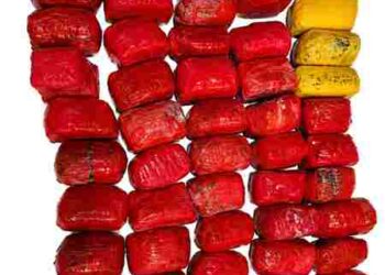 CROSS-BORDER NARCOTICS SMUGGLING BID FOILED IN FEROZEPUR; 45KG HEROIN, 3KG ICE RECOVERED