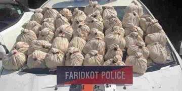 47KG HEROIN, 3 PISTOLS RECOVERED IN FARIDKOT; FOUR OPERATIVES HELD