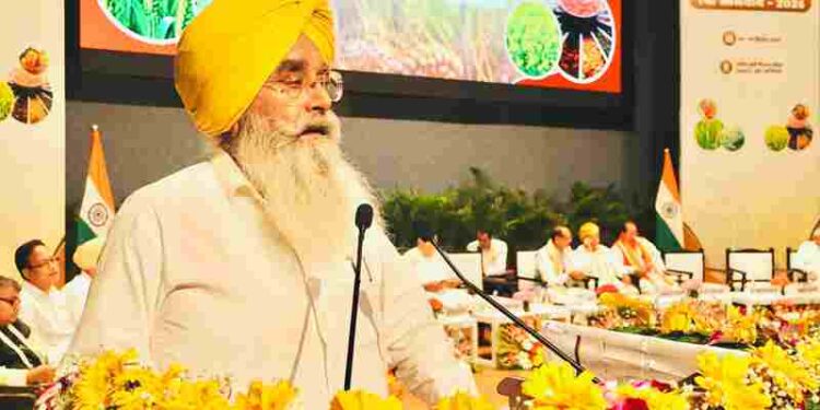 Ensure 5.5 Lakh MT DAP, 15 Lakh MT Urea Before Sowing: Gurmeet Khudian Demands From Centre for Rabi Season