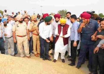 Farmers Being Paid For Their Crops Within 24 Hours: CM Bhagwant Singh Mann
