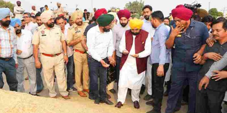 Farmers Being Paid For Their Crops Within 24 Hours: CM Bhagwant Singh Mann